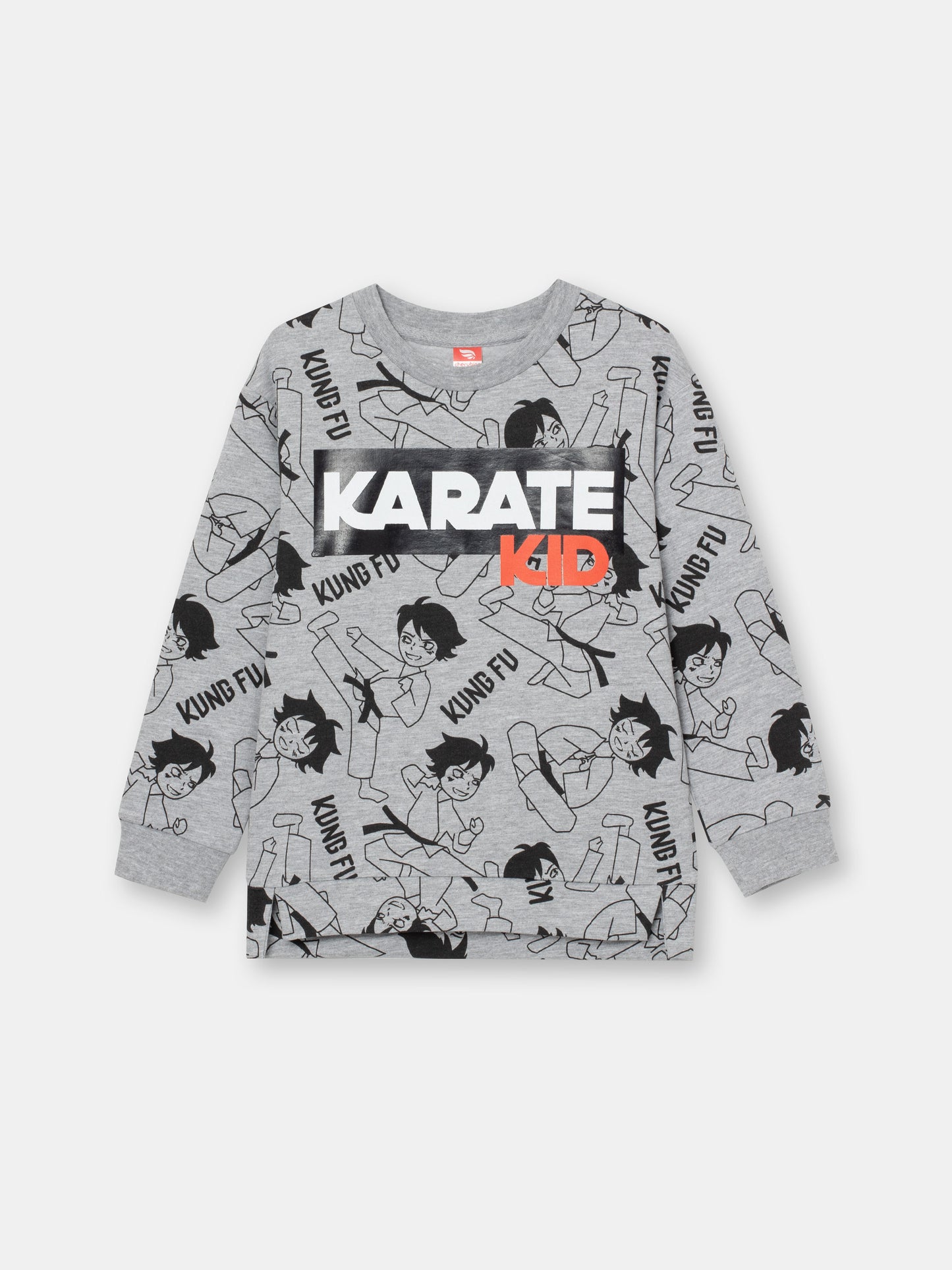 Boys Grey Sweatshirt with Karate Kid Print