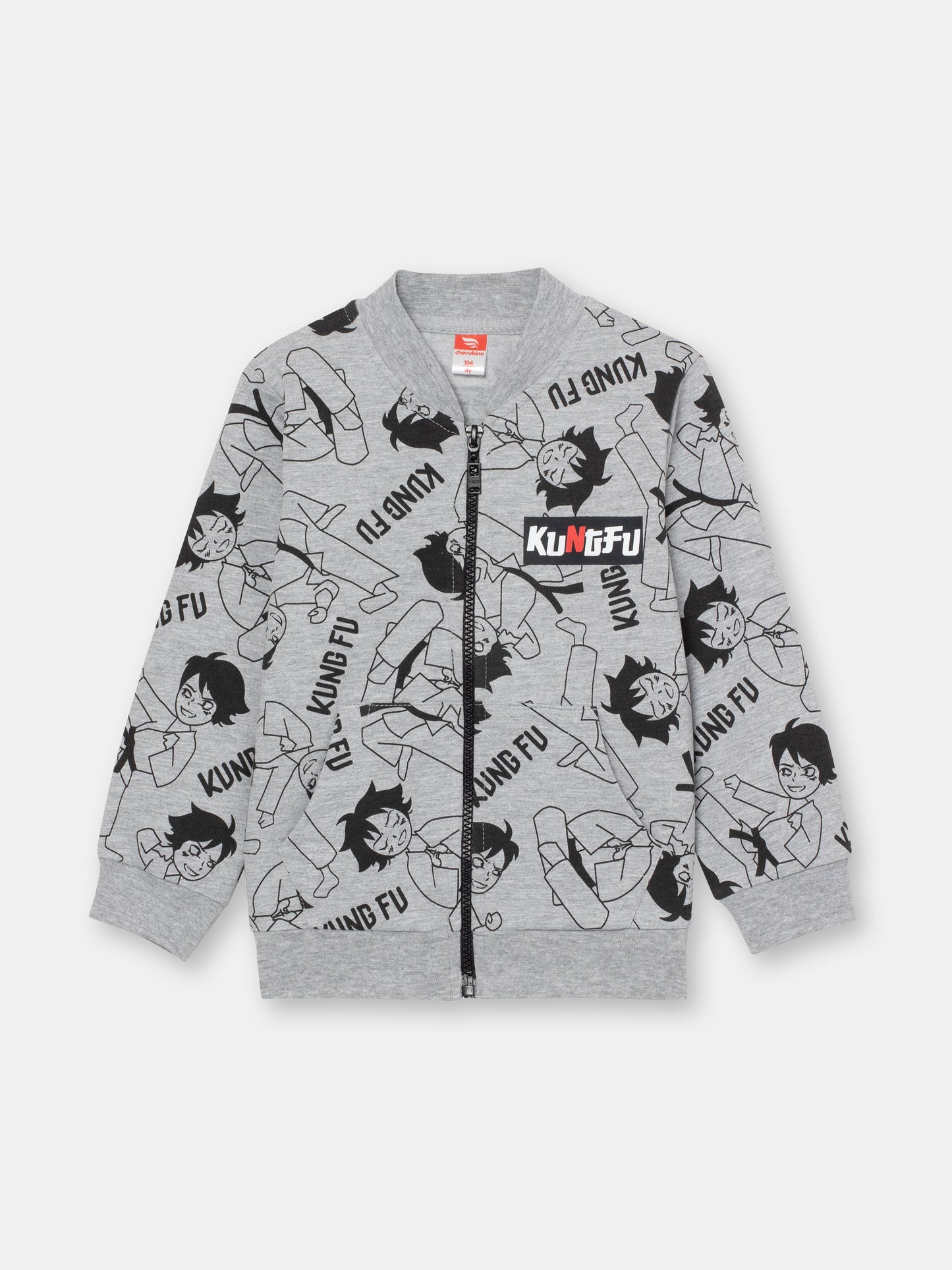 Boys Grey Hoodie with Kung Fu Master Print