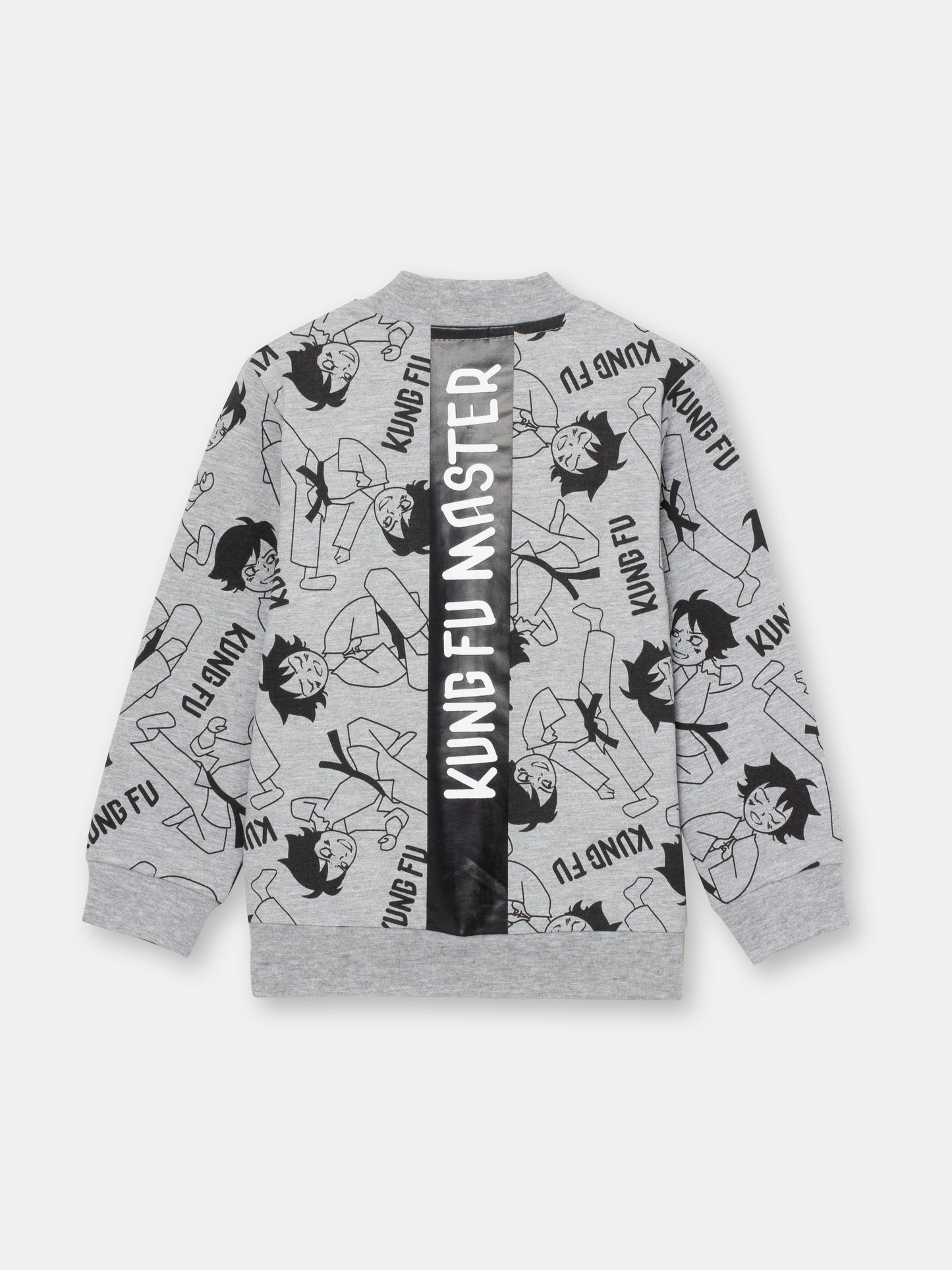 Boys Grey Hoodie with Kung Fu Master Print