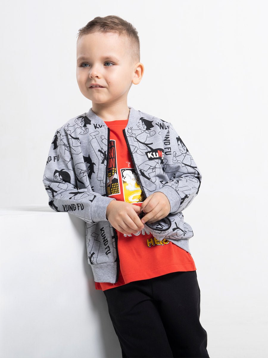 Boys Grey Hoodie with Kung Fu Master Print