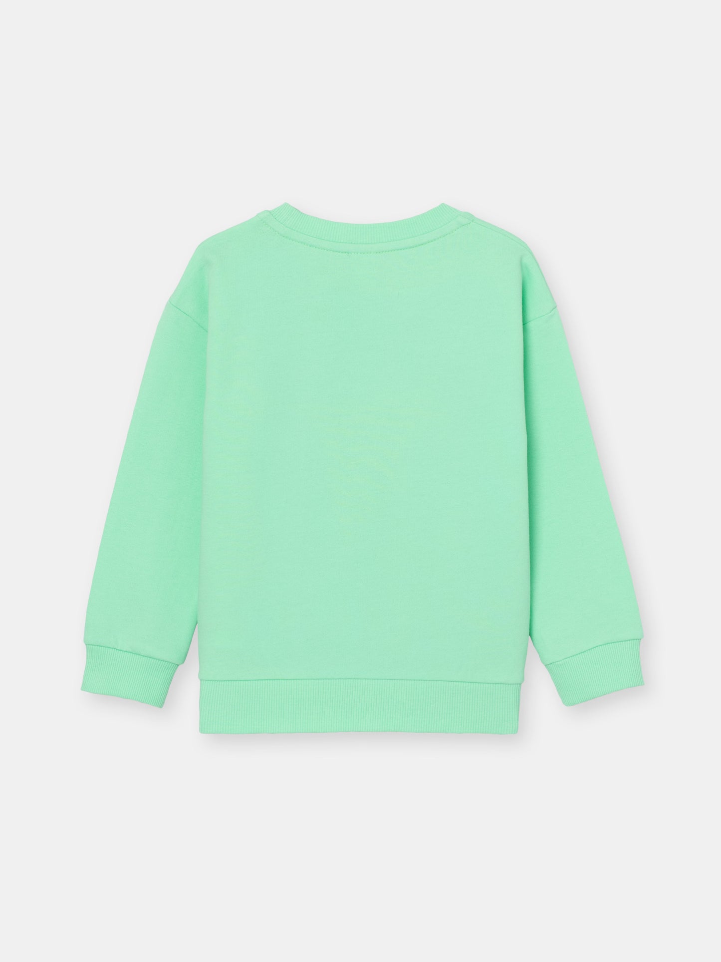 Girls Green Sweatshirt with Cute Corgi Puppy Print